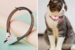 Laser cat collar