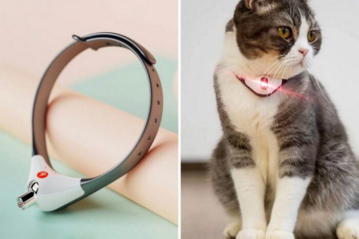 Laser cat collar - Image 1