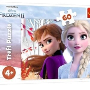 Puzzles60The enchanted world of Anna and Elsa 20P