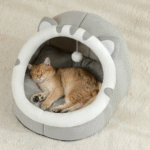 Cat bed